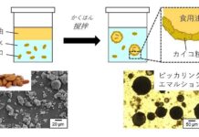 貴重なたんぱく源のカイコを食品利用”姿は見えない”粒子でドレッシングやクリームに — 大阪工業大学 | 大阪工業大学