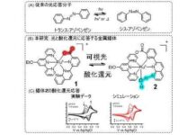 光と酸化還元に応答する分子明らかに 金属錯体の触媒活性を自在に制御 — 大阪工業大学 | 大阪工業大学