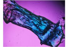 海の宝石に着想得た新発光材料を開発 集まると光り、力加減で光の強さが変化–大阪工業大学 | 大阪工業大学